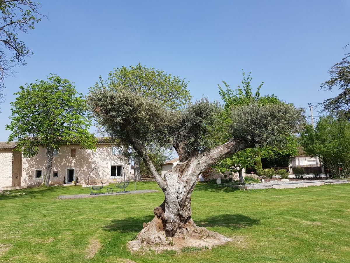 Le Mas De La Calade Panzió Aix-en-Provence Kültér fotó