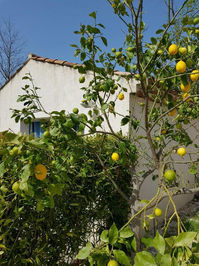 Le Mas De La Calade Panzió Aix-en-Provence Kültér fotó